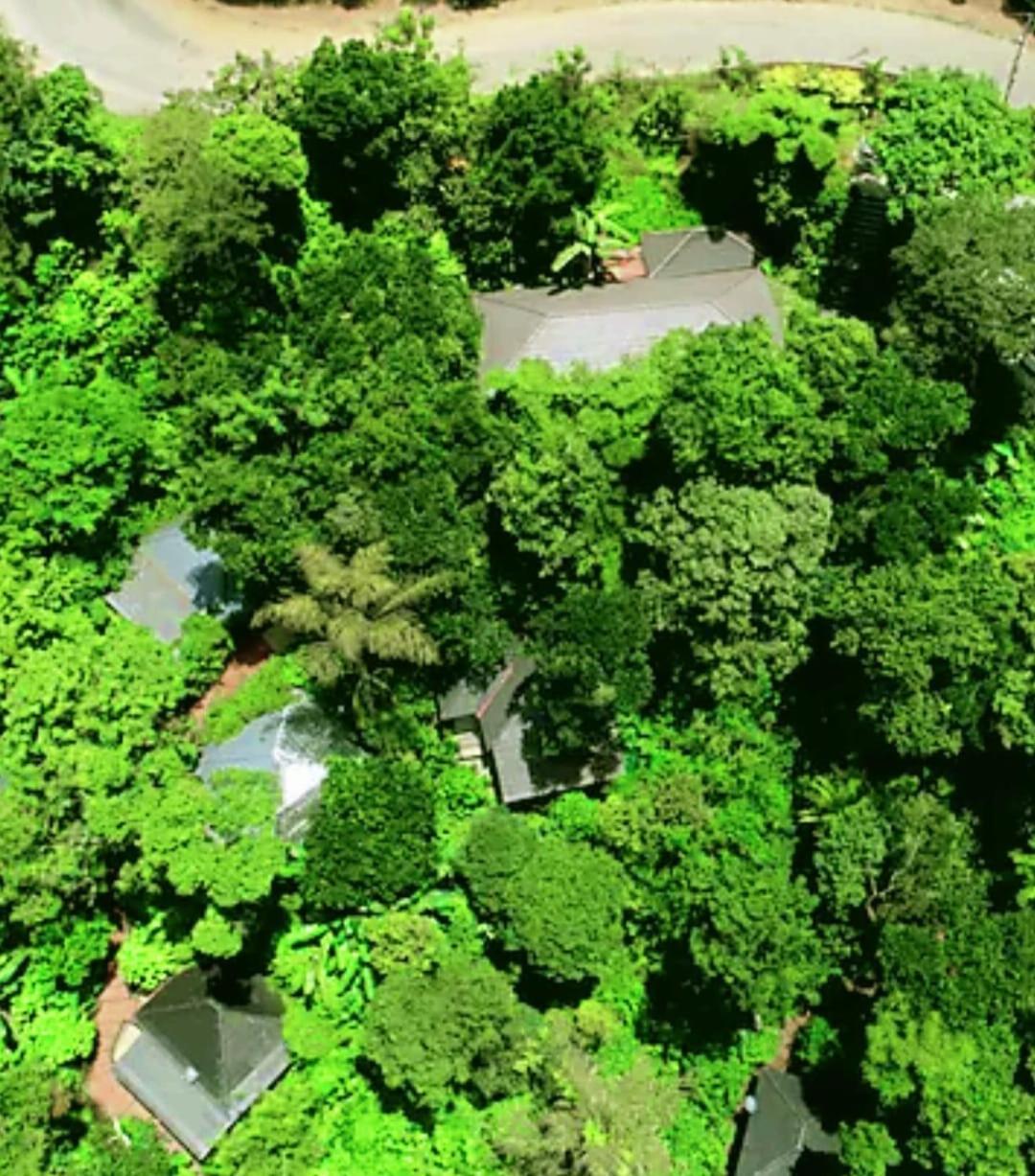 The Mountain Shades Resort Madikeri Exterior foto